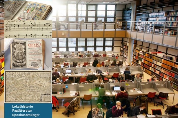 Et "Nordafjeldsk nasjonalbibliotek"